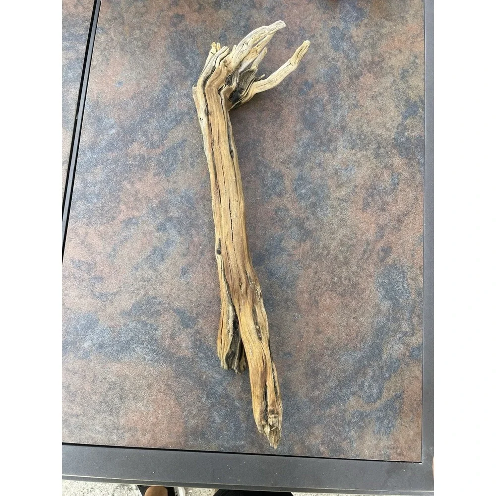Natural Driftwood for Plants Terrarium Taxidermy Art Projects